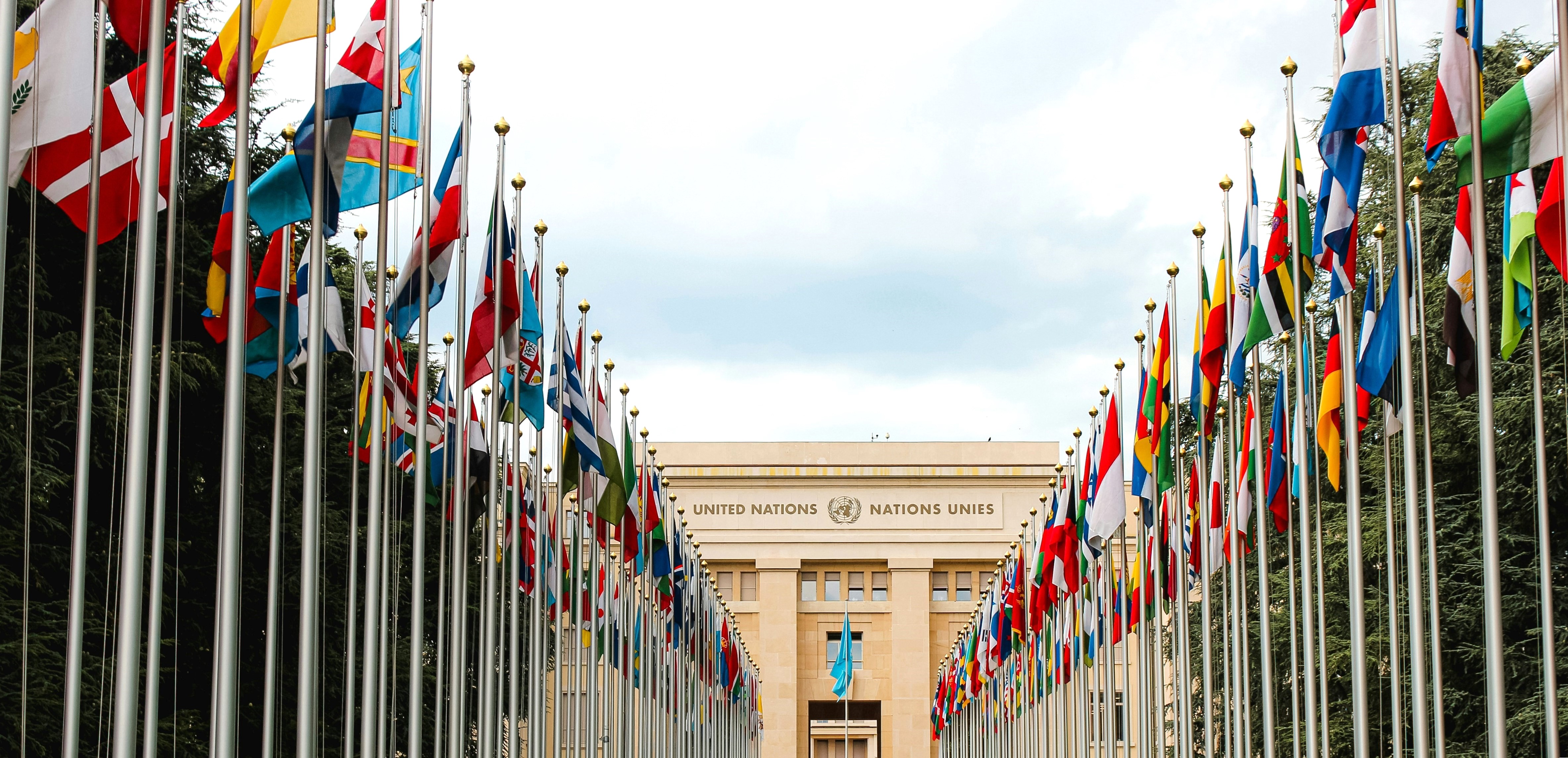 Photo by Mathias Reding on Unsplash